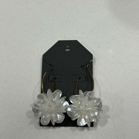 Beautiful earrings  - Picture 1 of 1